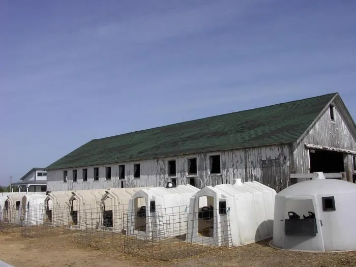 Before photo of the remodeled building